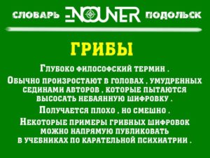 Грибы